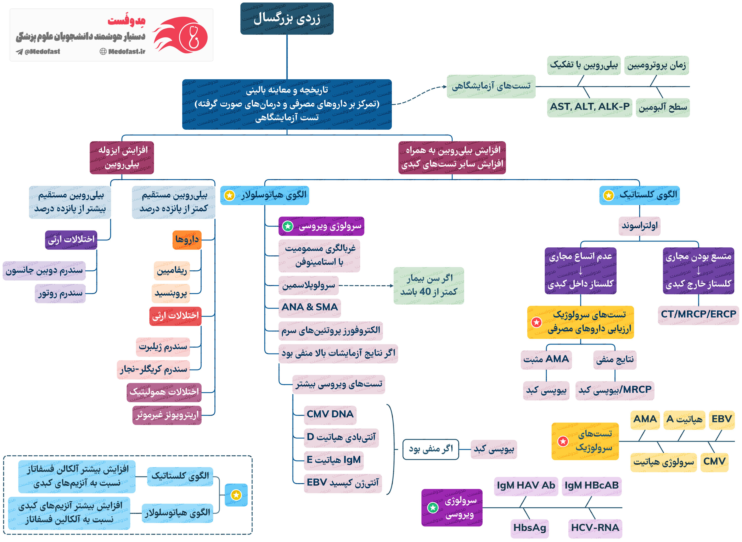 نمونه مایندمپ(خلاصه نموداری درختی) مدوفست برای آزمون دستیاری ، رزیدنتی: اپروچ به زردی بزرگسال هاریسون